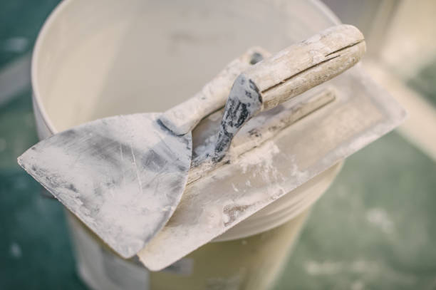 Best Mold Prevention Services  in Clermont, FL